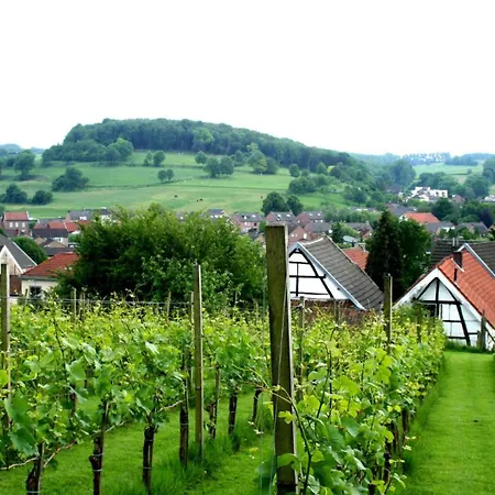 Parkhotel Valkenburg 4* Valkenburg aan de Geul